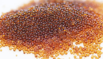 MR-450 UPW Grade Ion Exchange Resin Lower PPB Levels TOC Cleaning Characteristics